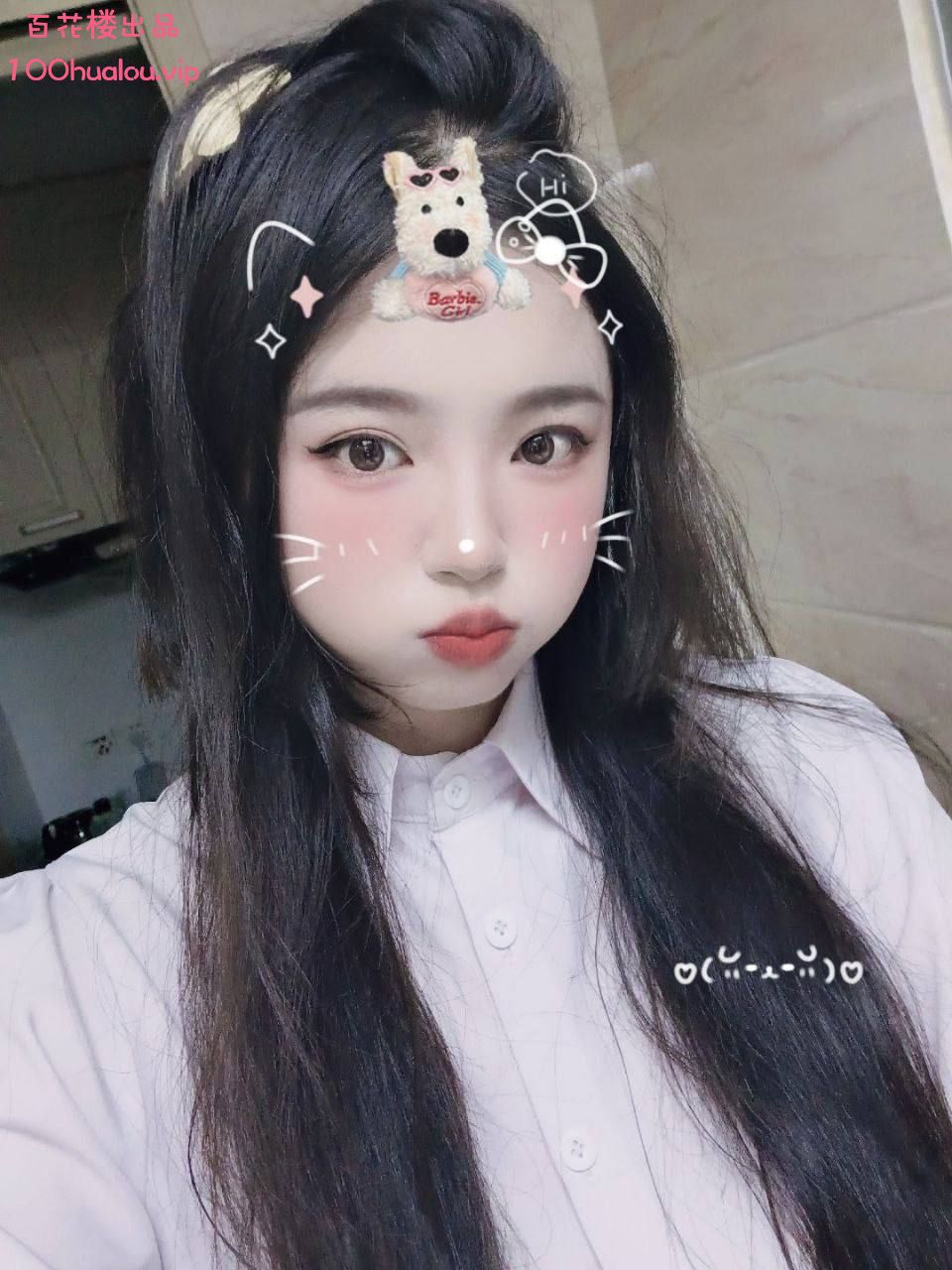 上海 敏感体质 小奶猫
